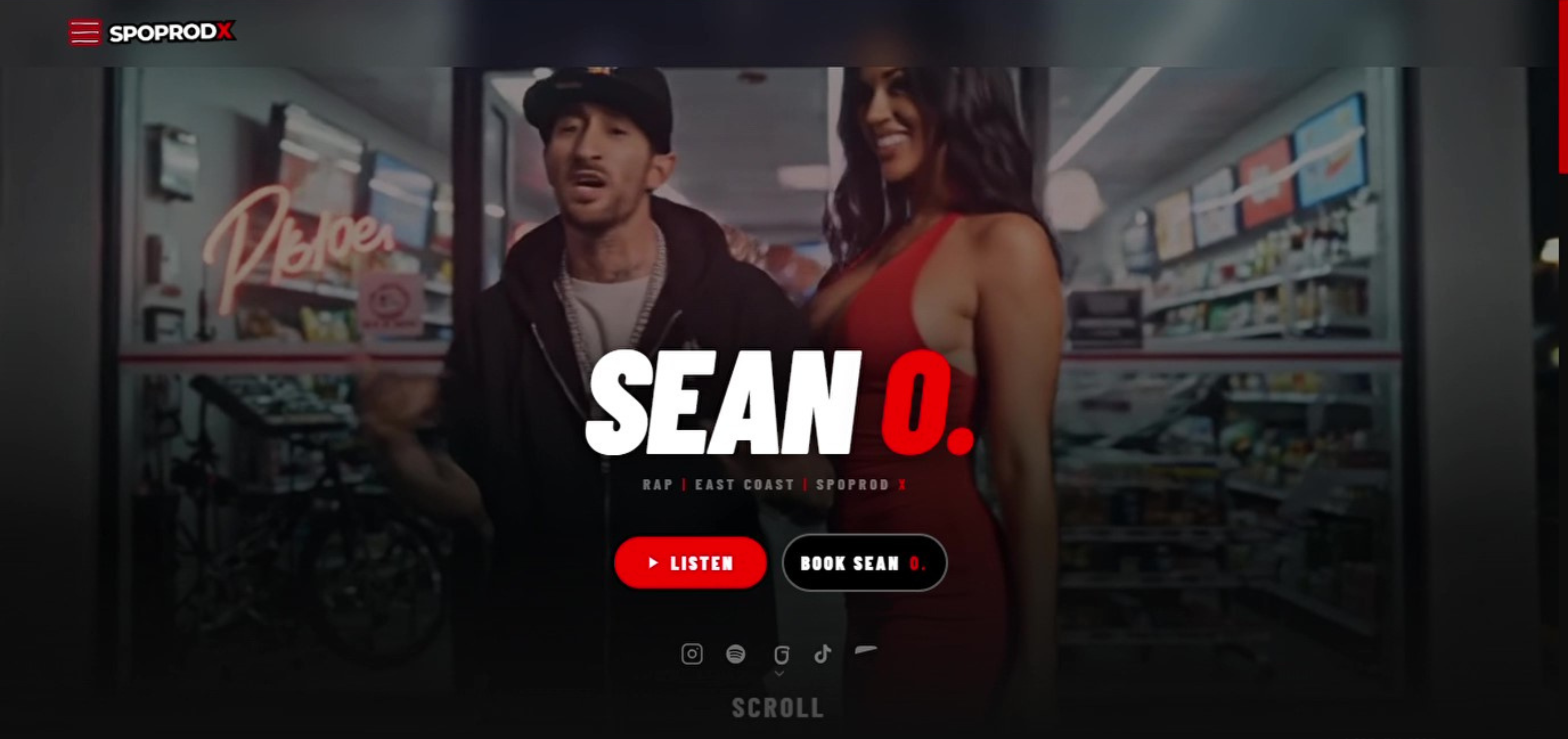 Sean O. artist site preview